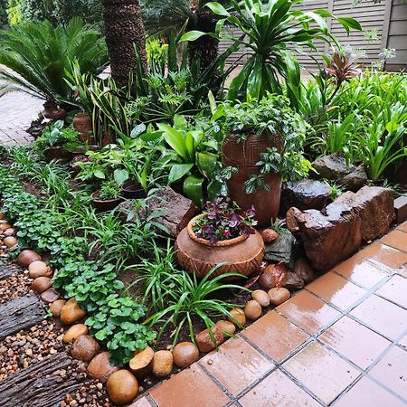 Tree Aloe Guest House Mokopane Exterior photo