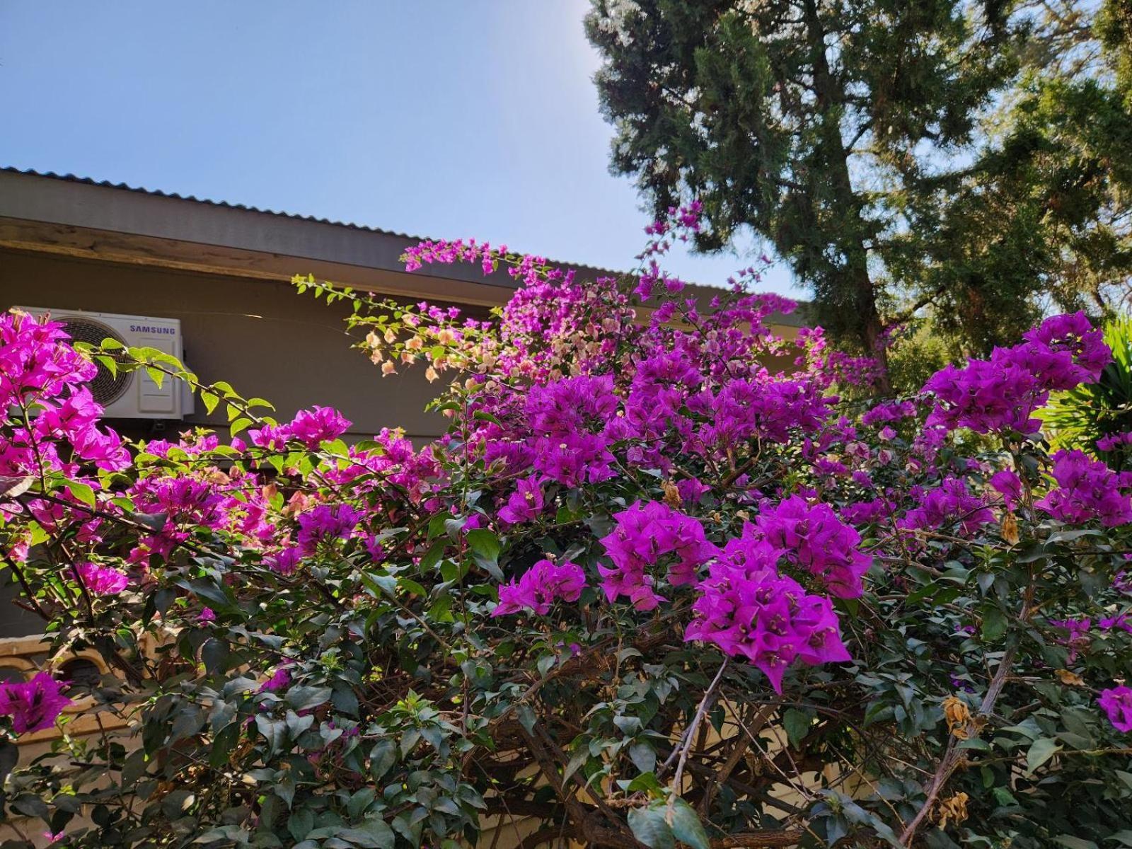 Tree Aloe Guest House Mokopane Exterior photo